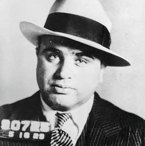 Meet your Posher, Alan